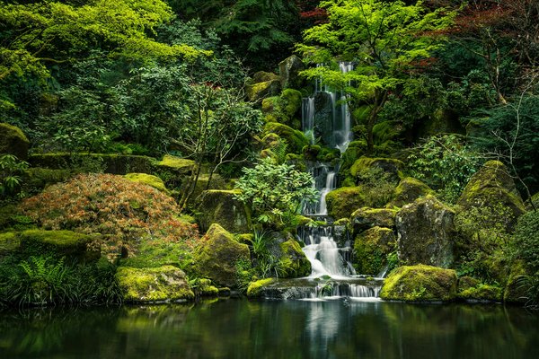 Quelles sont les meilleures pratiques pour entretenir un jardin japonais dans une région tempérée?